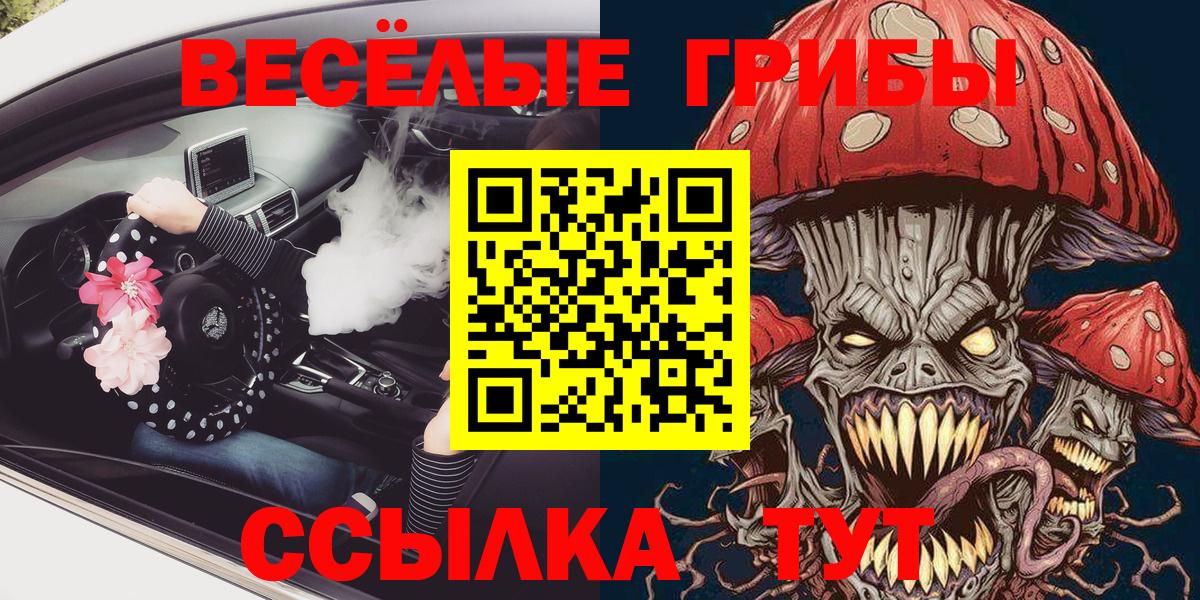 Галлюциногенные грибы ЛСД  Вход с VPN  Камышлов 