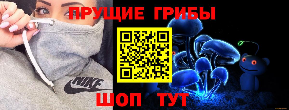 Псилоцибиновые грибы Magic Shrooms Камышлов